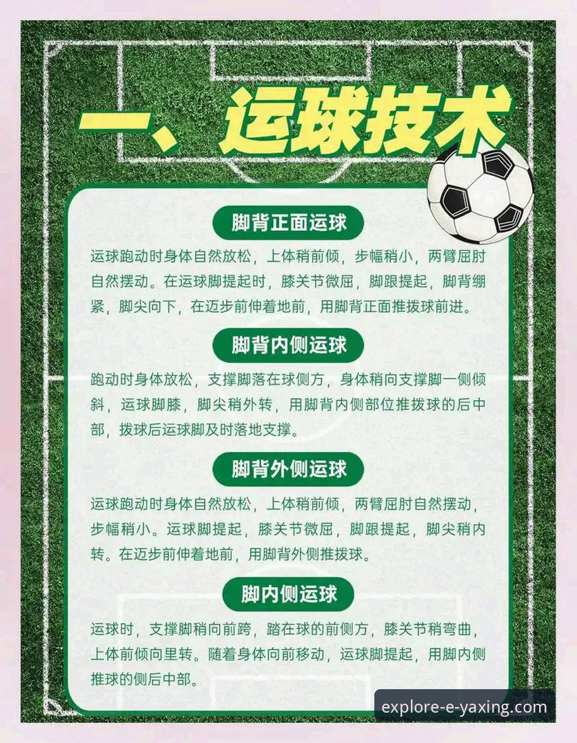 亚星体育平台畅享丰富内容全流程操作教程