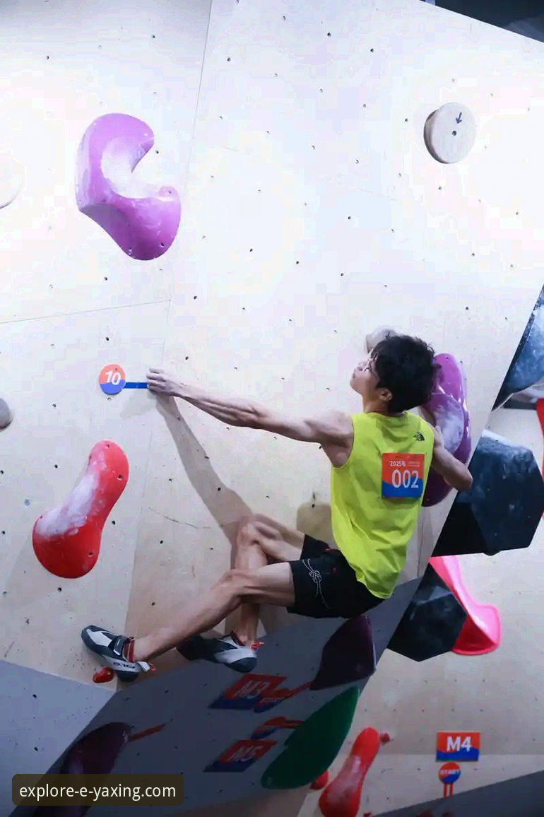 亚星体育平台赛事深度解析与观看优化教程